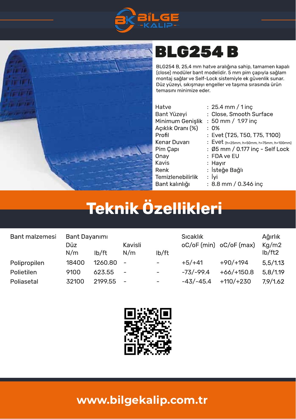 BLG254 B
