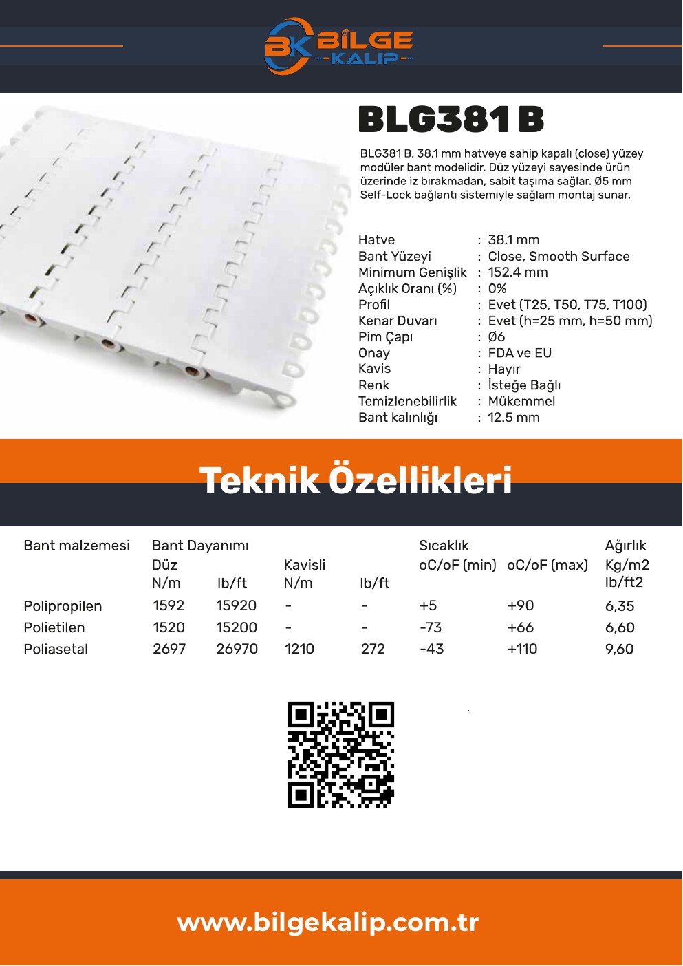 BLG381 B